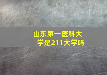 山东第一医科大学是211大学吗