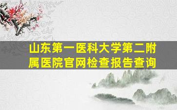 山东第一医科大学第二附属医院官网检查报告查询