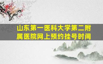 山东第一医科大学第二附属医院网上预约挂号时间