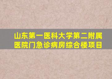 山东第一医科大学第二附属医院门急诊病房综合楼项目