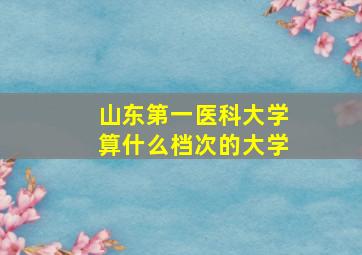 山东第一医科大学算什么档次的大学