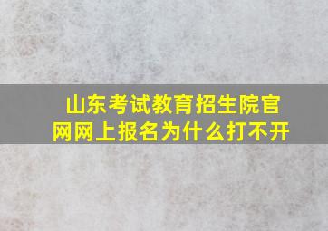 山东考试教育招生院官网网上报名为什么打不开