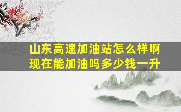 山东高速加油站怎么样啊现在能加油吗多少钱一升