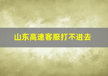 山东高速客服打不进去