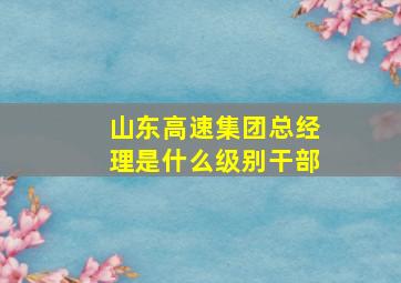 山东高速集团总经理是什么级别干部