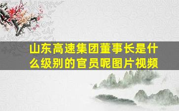 山东高速集团董事长是什么级别的官员呢图片视频