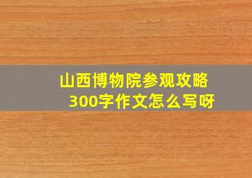 山西博物院参观攻略300字作文怎么写呀