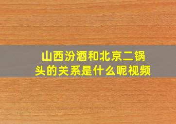 山西汾酒和北京二锅头的关系是什么呢视频