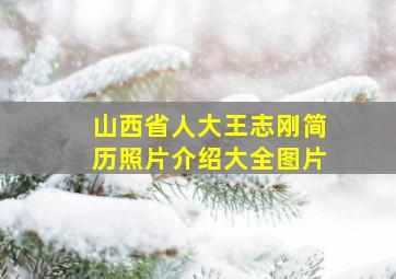 山西省人大王志刚简历照片介绍大全图片