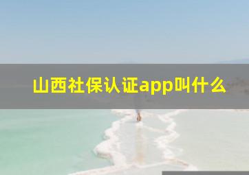 山西社保认证app叫什么