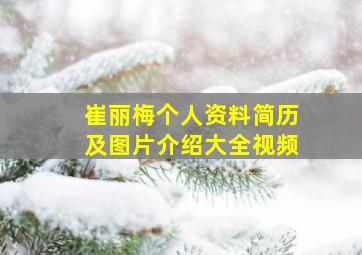 崔丽梅个人资料简历及图片介绍大全视频