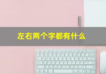 左右两个字都有什么