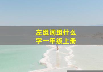 左组词组什么字一年级上册