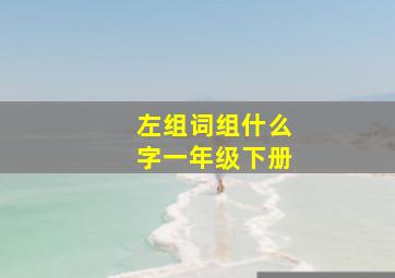 左组词组什么字一年级下册