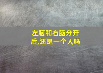 左脑和右脑分开后,还是一个人吗