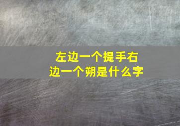 左边一个提手右边一个朔是什么字