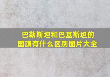 巴勒斯坦和巴基斯坦的国旗有什么区别图片大全