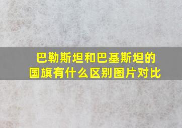 巴勒斯坦和巴基斯坦的国旗有什么区别图片对比