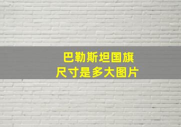 巴勒斯坦国旗尺寸是多大图片