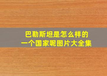 巴勒斯坦是怎么样的一个国家呢图片大全集