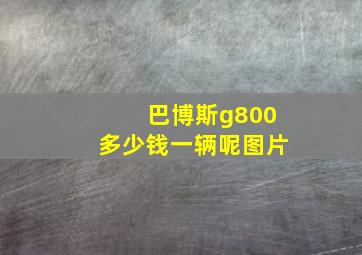 巴博斯g800多少钱一辆呢图片