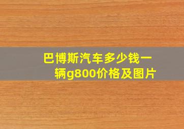 巴博斯汽车多少钱一辆g800价格及图片