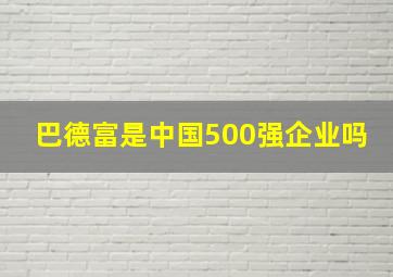 巴德富是中国500强企业吗