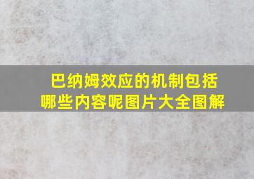 巴纳姆效应的机制包括哪些内容呢图片大全图解