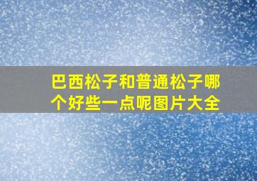 巴西松子和普通松子哪个好些一点呢图片大全