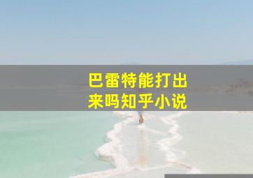 巴雷特能打出来吗知乎小说