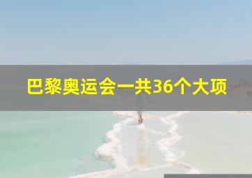 巴黎奥运会一共36个大项