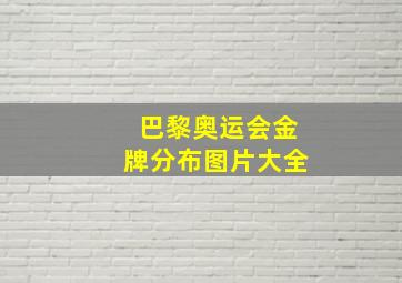 巴黎奥运会金牌分布图片大全