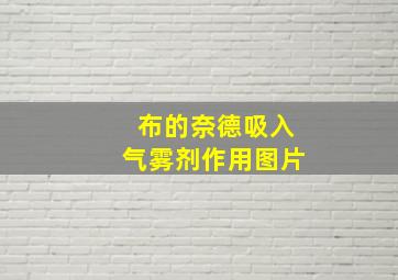 布的奈德吸入气雾剂作用图片