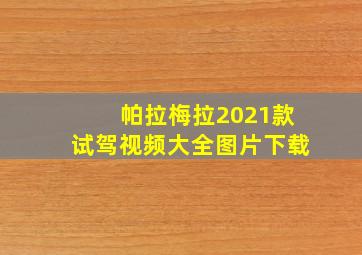 帕拉梅拉2021款试驾视频大全图片下载