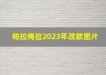 帕拉梅拉2023年改款图片