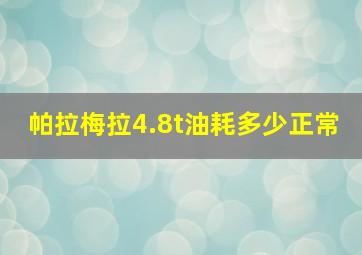 帕拉梅拉4.8t油耗多少正常