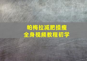 帕梅拉减肥操瘦全身视频教程初学