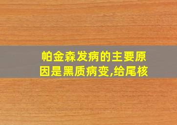 帕金森发病的主要原因是黑质病变,给尾核