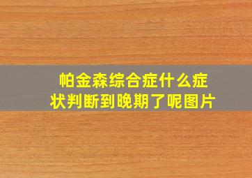 帕金森综合症什么症状判断到晚期了呢图片