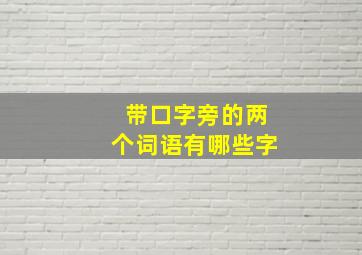 带口字旁的两个词语有哪些字