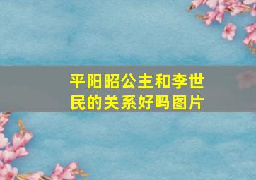 平阳昭公主和李世民的关系好吗图片