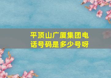 平顶山广厦集团电话号码是多少号呀