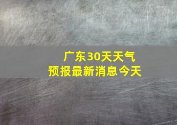 广东30天天气预报最新消息今天