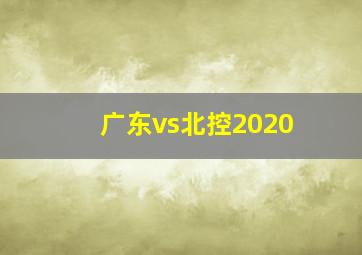 广东vs北控2020