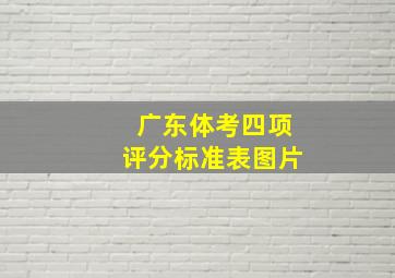 广东体考四项评分标准表图片