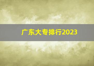 广东大专排行2023