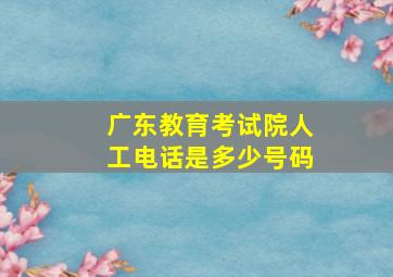 广东教育考试院人工电话是多少号码