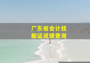 广东省会计技能证成绩查询