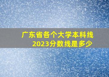 广东省各个大学本科线2023分数线是多少