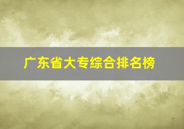 广东省大专综合排名榜